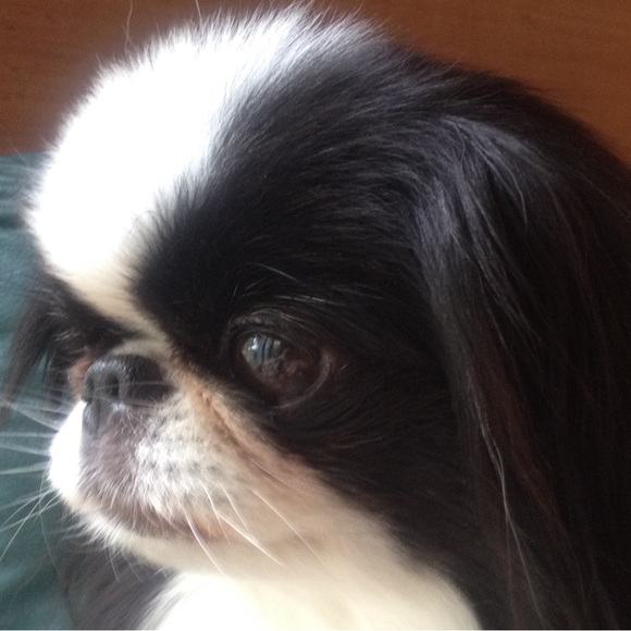 Meet your Posher, Tricia - Picture 7 of 10